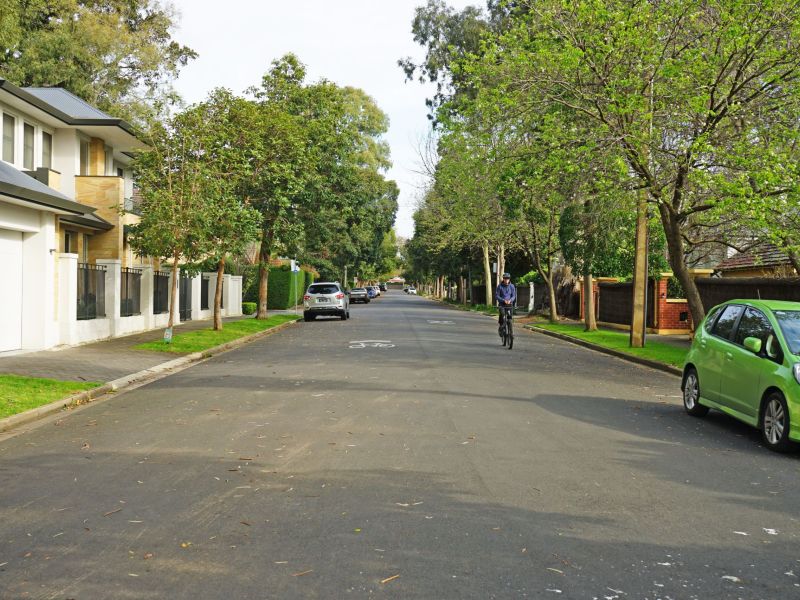 Whistler Ave Bicyce Sharrows 3 with bike rider.JPG