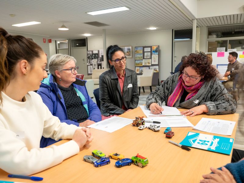 Shaping Unley Panel Session 2 - image 3
