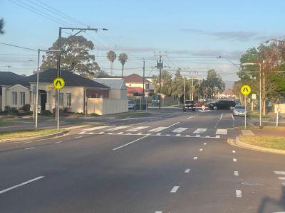 Example wombat crossing